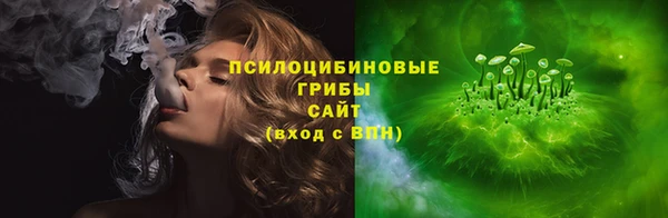молекула духа Белокуриха