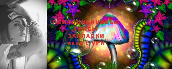 СК Ростов