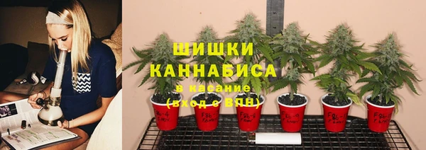 молекула духа Белокуриха