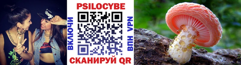 Галлюциногенные грибы GOLDEN TEACHER  где можно купить   Озёрск 